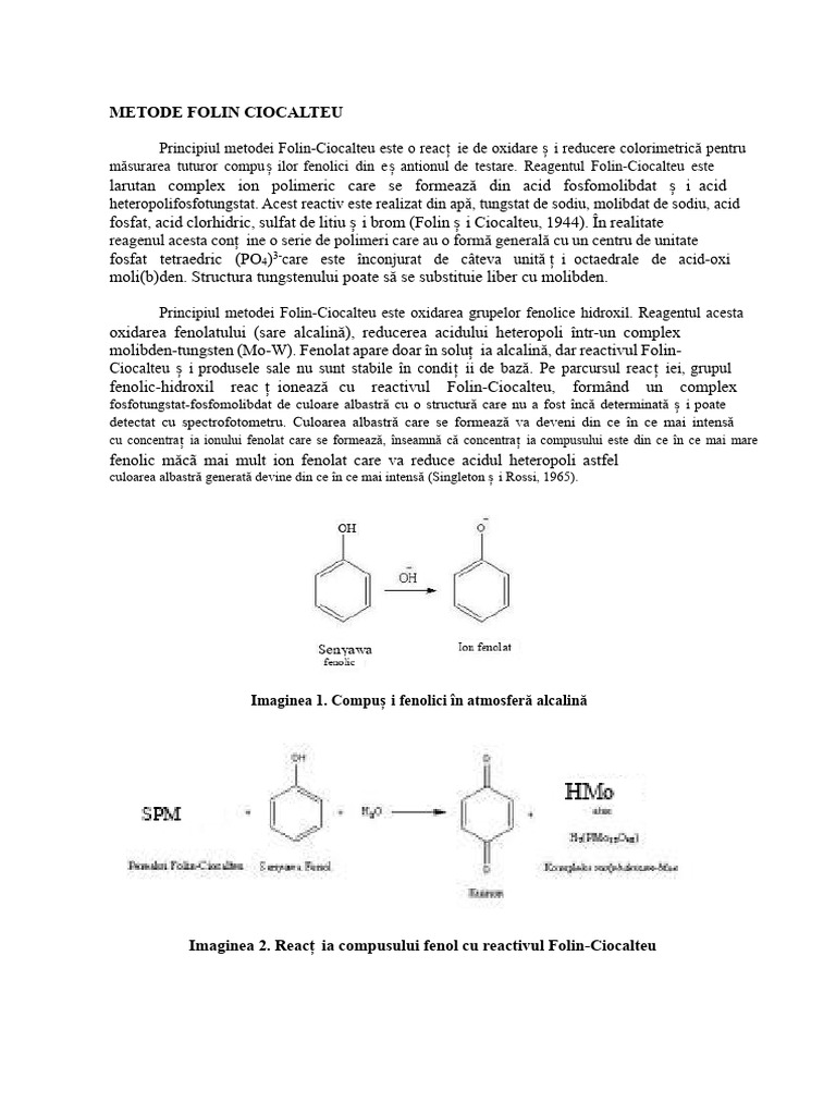 Metoda Folin-Ciocalteu | PDF