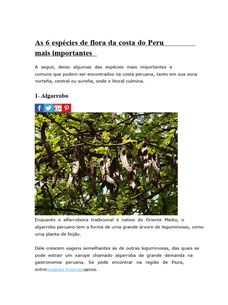 Flora da Costa do Peru: 6 Espécies Chave | PDF | Árvores | Peru