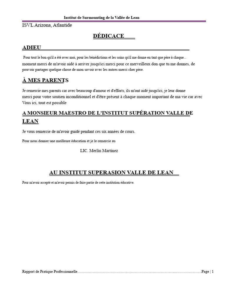 Rapport de Stage Professionnel ISVL | PDF