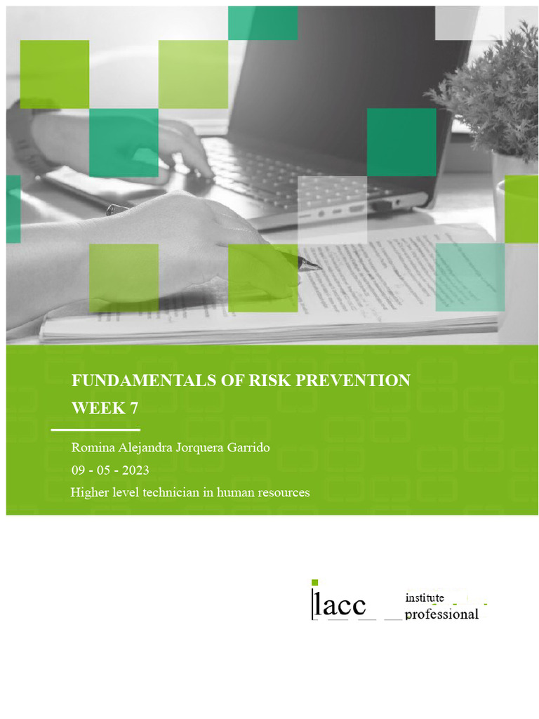 Risk Prevention Program Essentials | PDF | Occupational Safety And ...