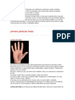 Para Leer La Mano Se Han de Inter Pre Tar Una Cantidad de Caracteristicas