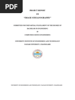 Download Project Report- Steganography by DeFreeMe SN92213560 doc pdf