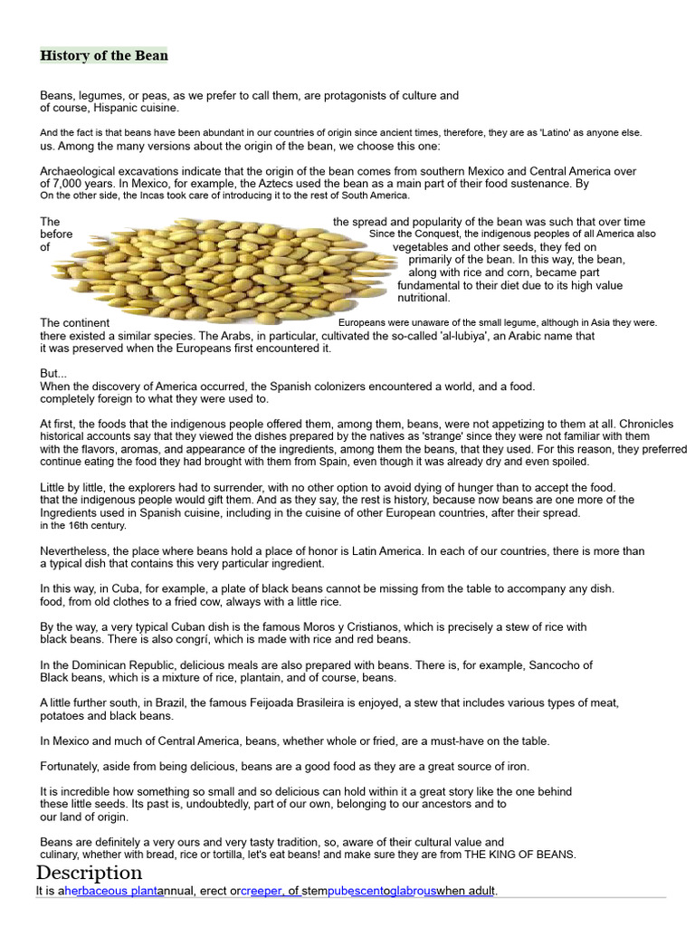 Origins and Cultural Significance of Beans | PDF | Cuisine | Food And Drink