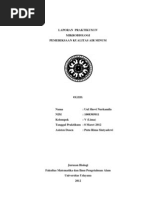 Download Pemeriksaan Kualitas Air Minum Print by svn4nd4 SN92216175 doc pdf