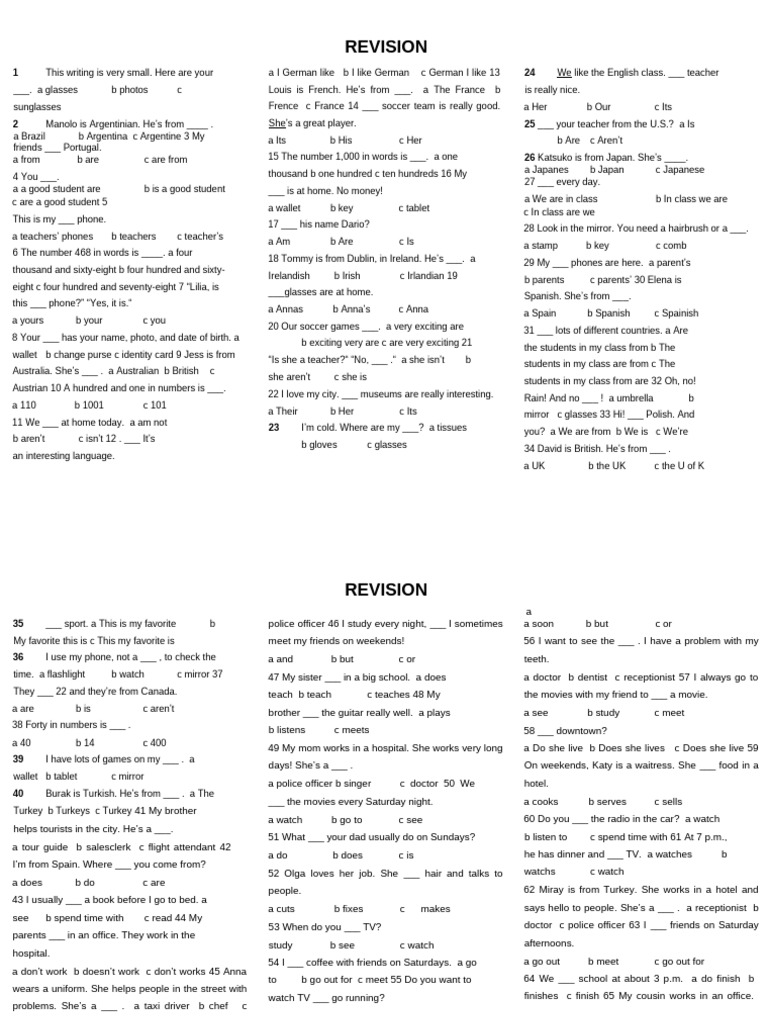 English Grammar Practice Questions | PDF
