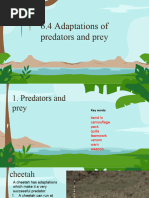 Predator and Prey Adaptations Explained | PDF | Predation | Snake