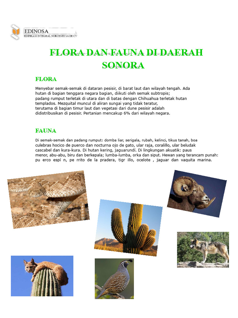 Flora dan Fauna Daerah Sonora | PDF