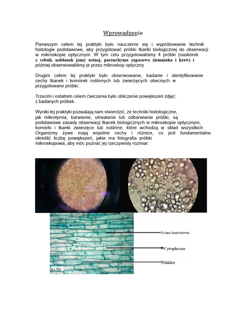 PPPPP | PDF