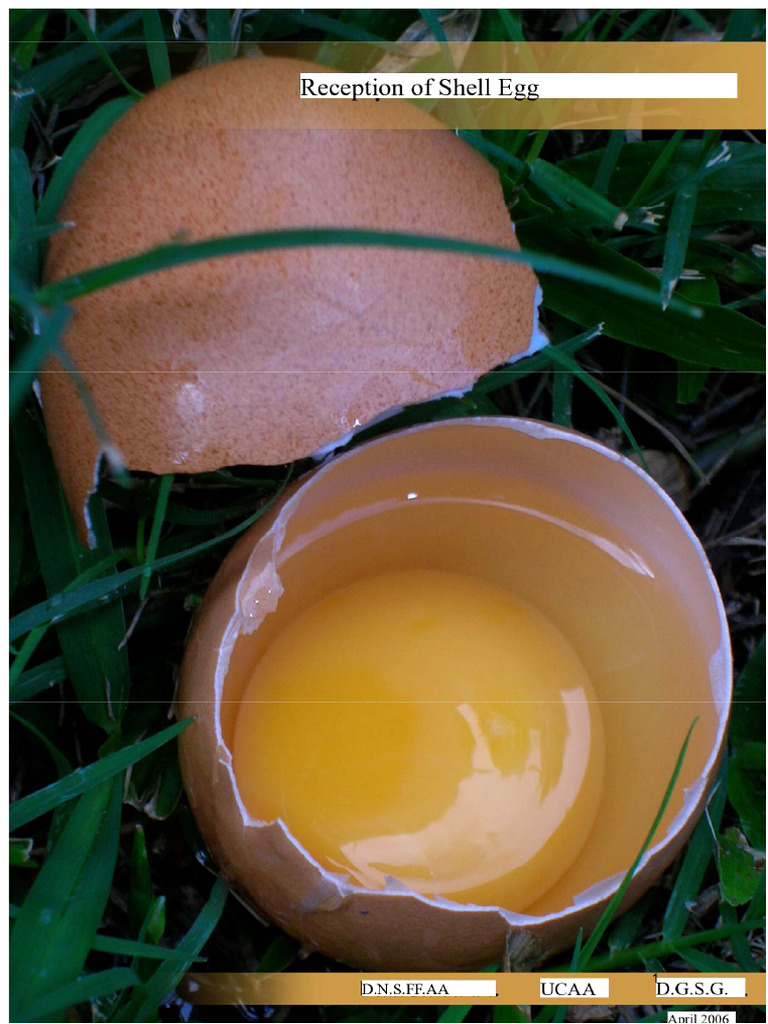 Egg Shell Reception Guidelines Manual | PDF | Egg White | Egg