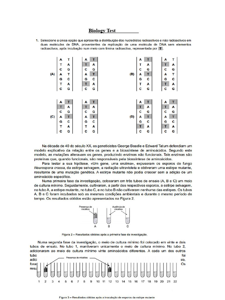 Biology Test - DNA | PDF