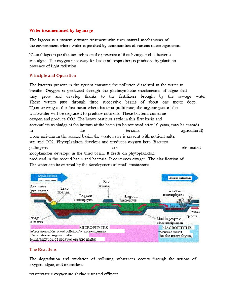 Understanding Lagooning in Water Treatment | PDF | Sewage Treatment ...