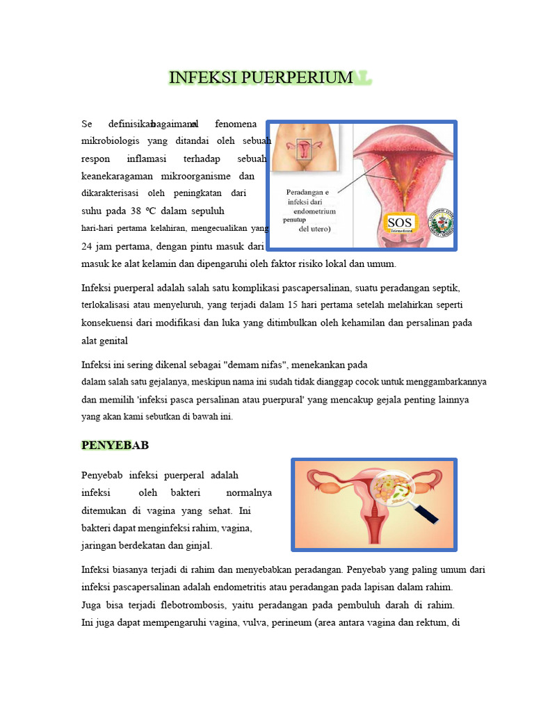 Infeksi Puerperal | PDF