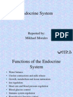 Endocrine System: Reported By: Mikhael Morales