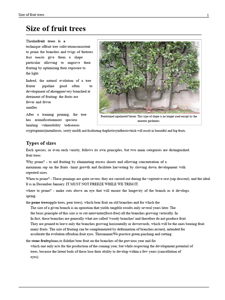 Fruit Tree Pruning Techniques Guide | PDF | Pruning | Trees