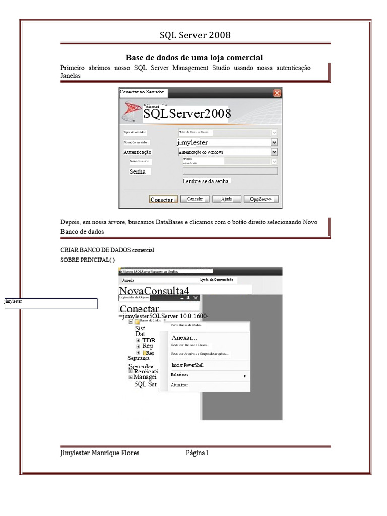 Banco de Dados SQL Server 2008 para Loja | PDF | Tabela (banco de dados ...