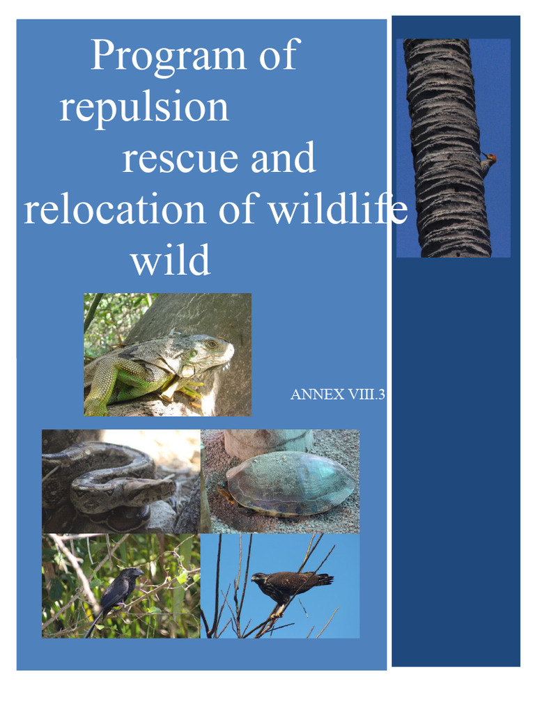 Wildlife Deterrence and Relocation Program | PDF | Conservation Biology ...