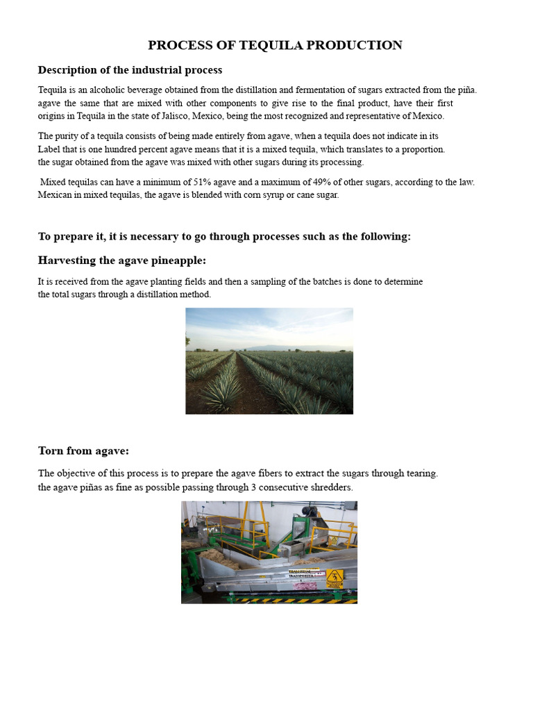 Tequila Production Process Explained | PDF | Water Pollution
