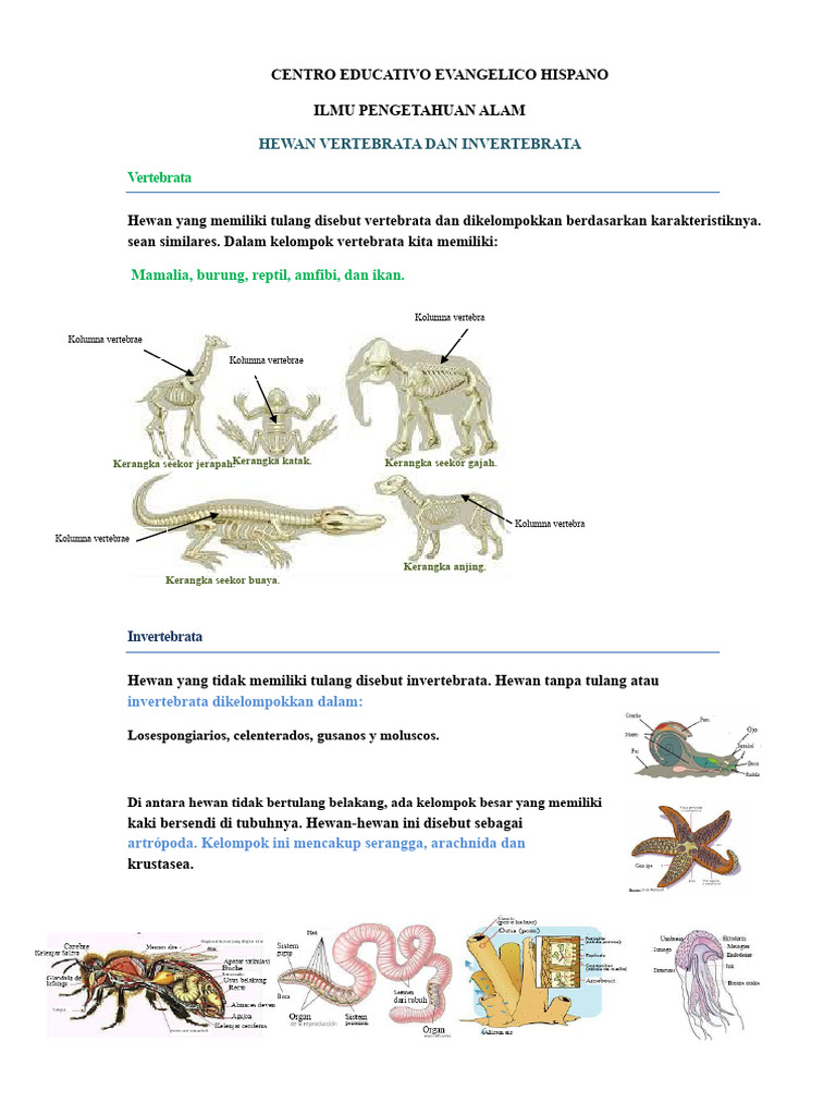Panduan Hewan Vertebrata dan Invertebrata | PDF