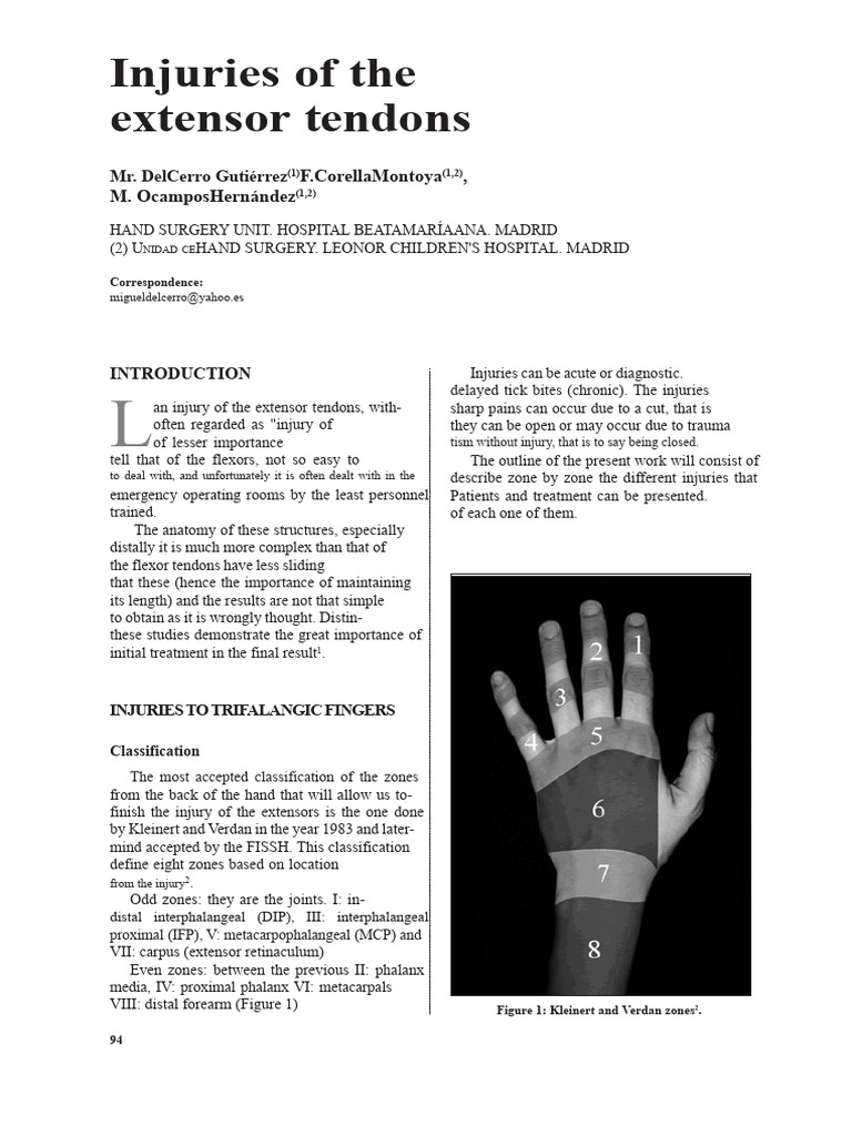 Extensor Tendon Injury Zones in Thumb | PDF | Thumb | Hand