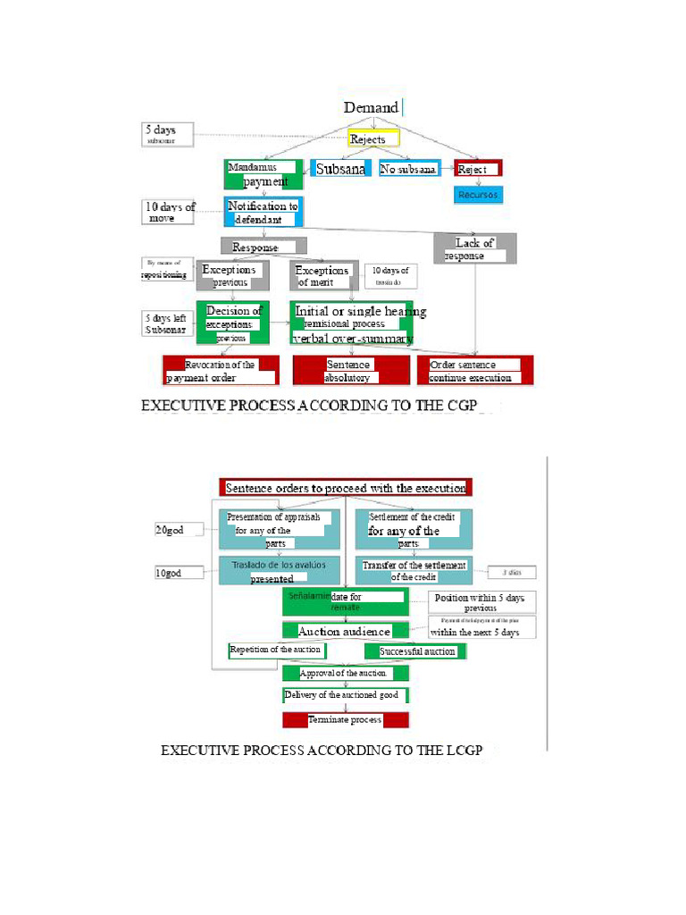 Executive Process in The CGP | PDF | Damages | Interest