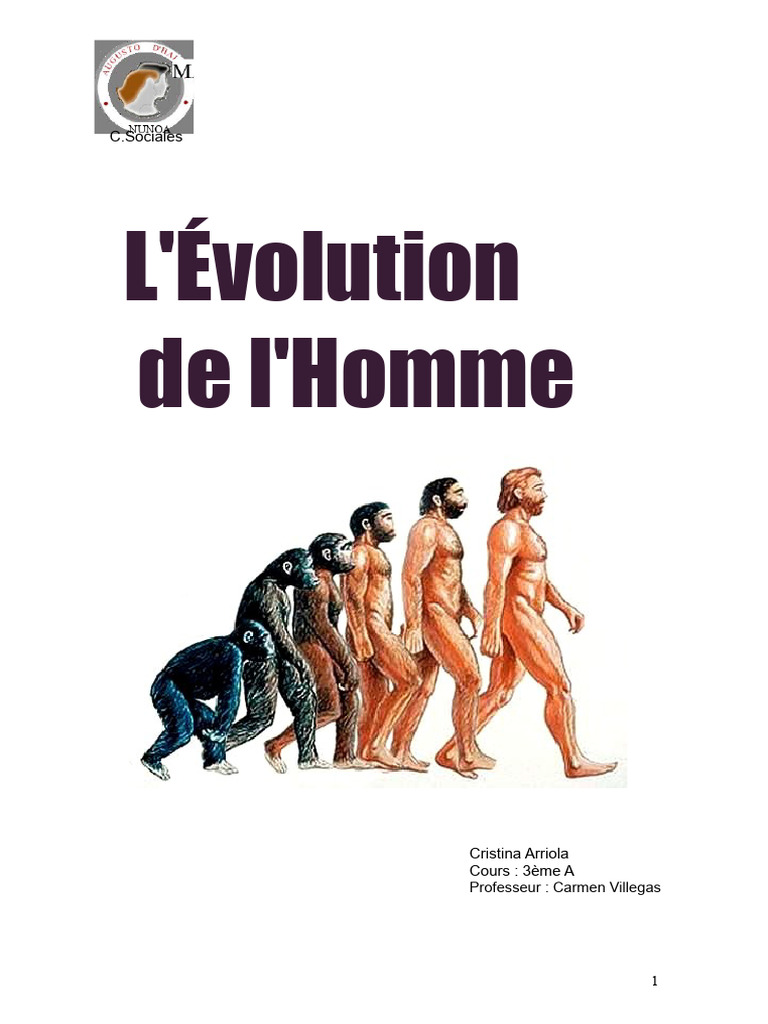 Évolution de l'Homme : Origines et Étapes | PDF | Évolution humaine | Homo