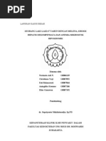 Download CC Besar Melena FIXED by QSninja Hiten Mitsurugi SN92226295 doc pdf
