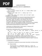 Lugol's Test for Starch Identification | PDF