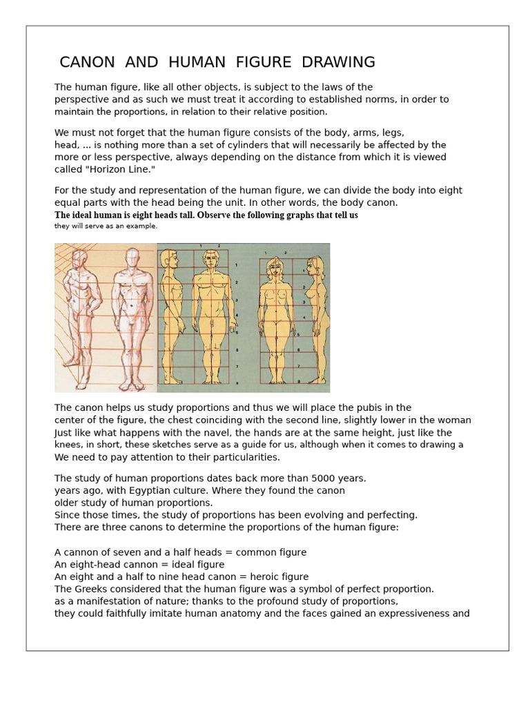 Canon and Drawing The Human Figure | PDF | Arm | Elbow