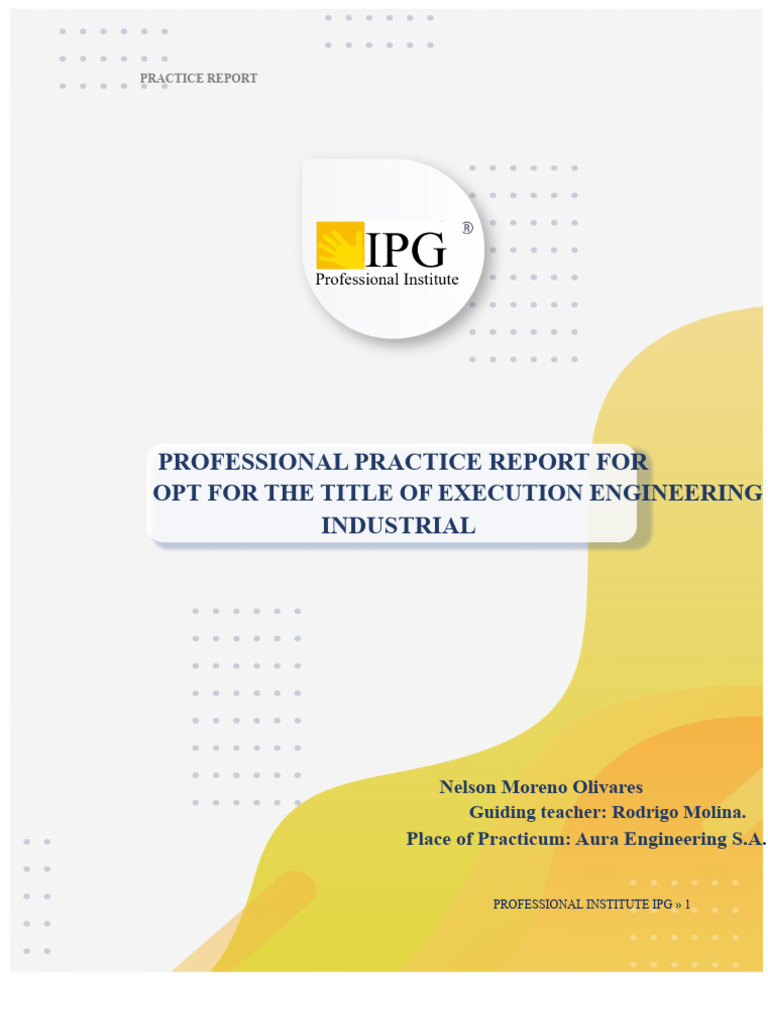 Professional Practice Report: Aura Engineering | PDF | Mining | Safety