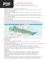 Understanding Basins and Sub-Basins | PDF | Drainage Basin | River