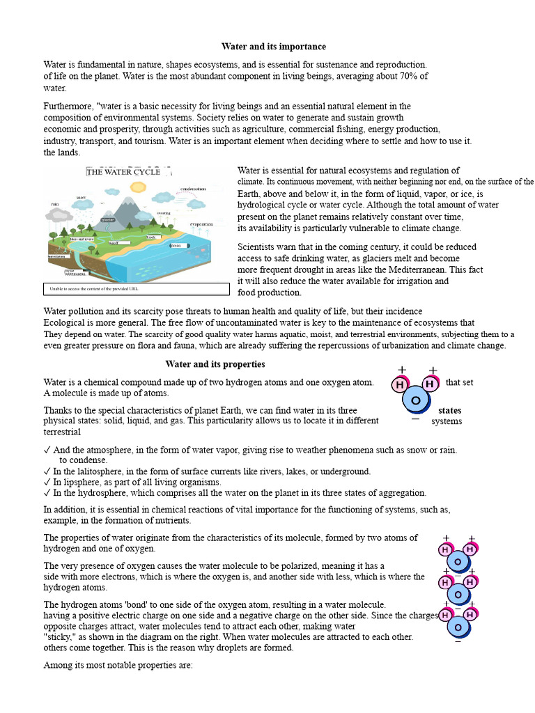 Importance of Water in Ecosystems | PDF | Water | Properties Of Water