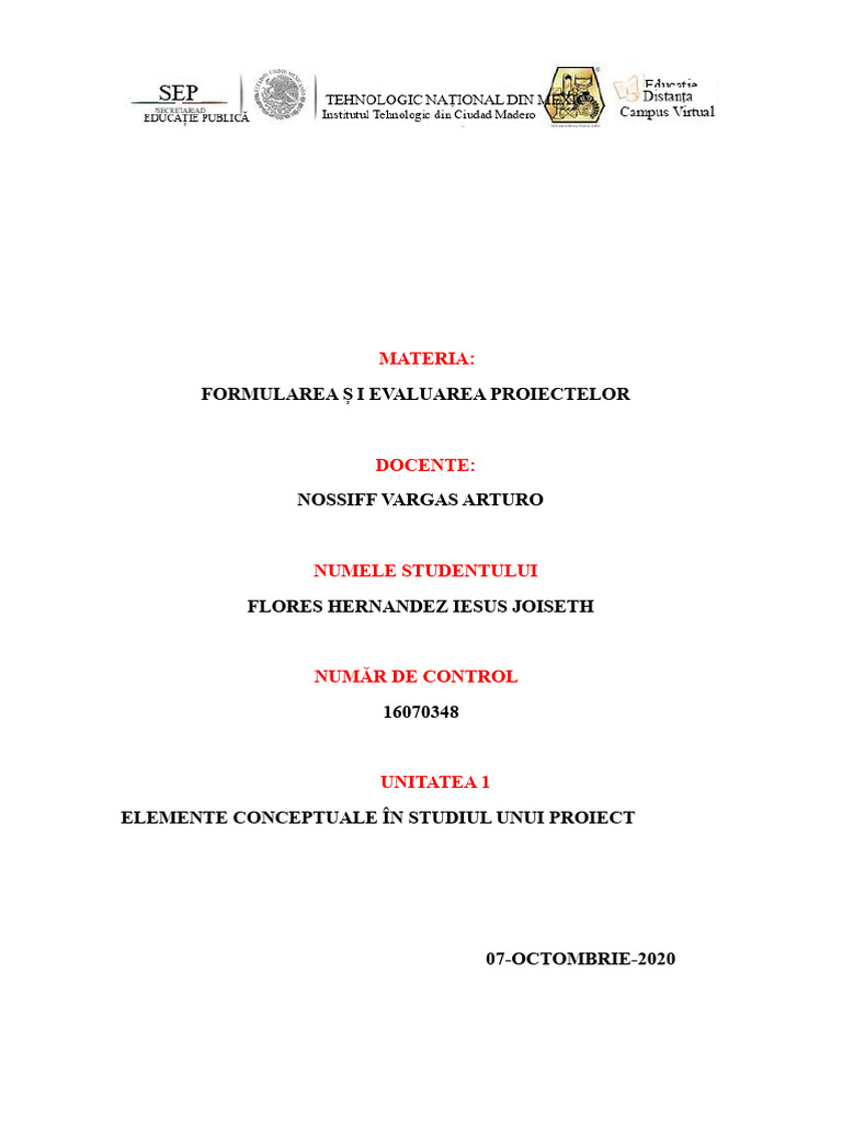 Elemente Conceptuale În Studiul Unui Proiect | PDF