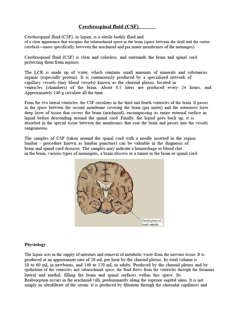 Understanding Cerebrospinal Fluid (CSF) | PDF | Meningitis ...