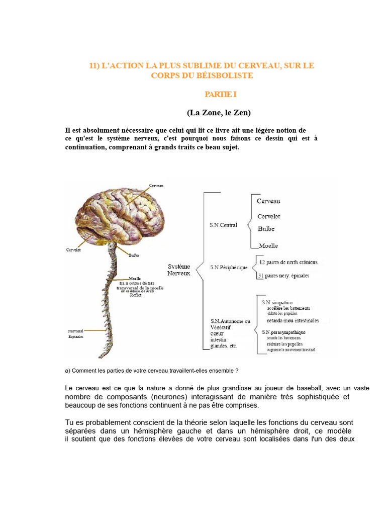 Cerveau et Performance au Baseball | PDF | Cerveau | Hypnose