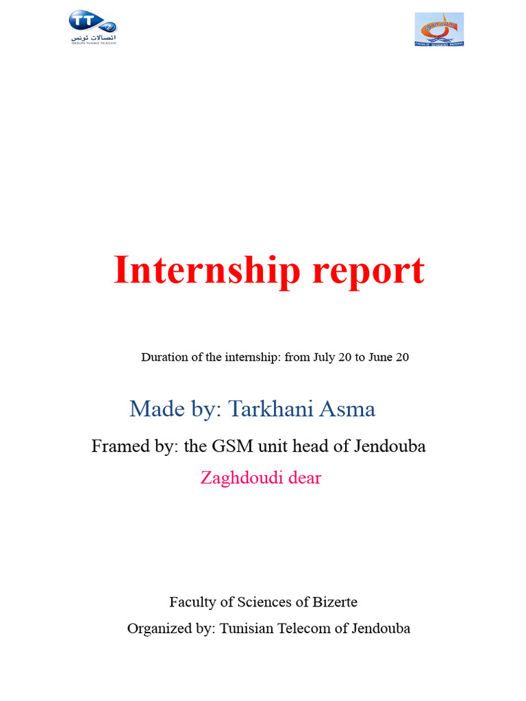 Corrected Internship Report | PDF | Electronics | Computer Engineering