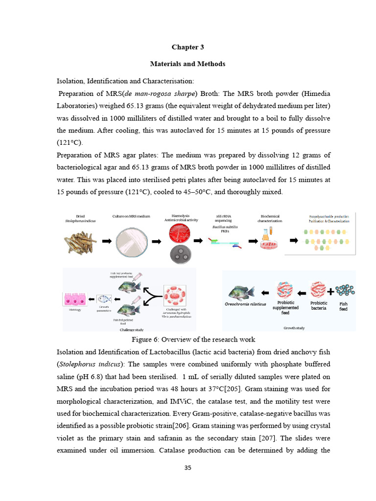 Isolation and Characterization of Lactobacillus | PDF | Histology