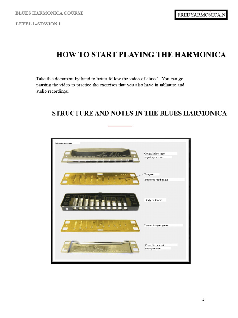Harmonica Basics and Techniques | PDF | Harmonica | Musicology