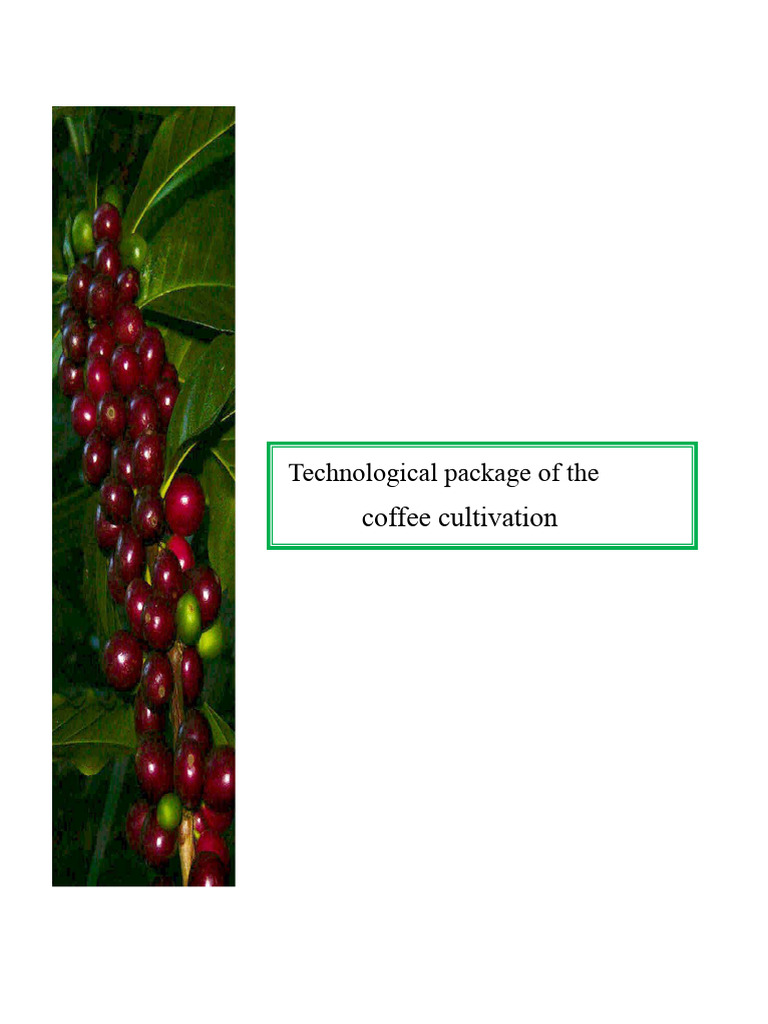 Coffee Cultivation: Economic and Environmental Insights | PDF ...