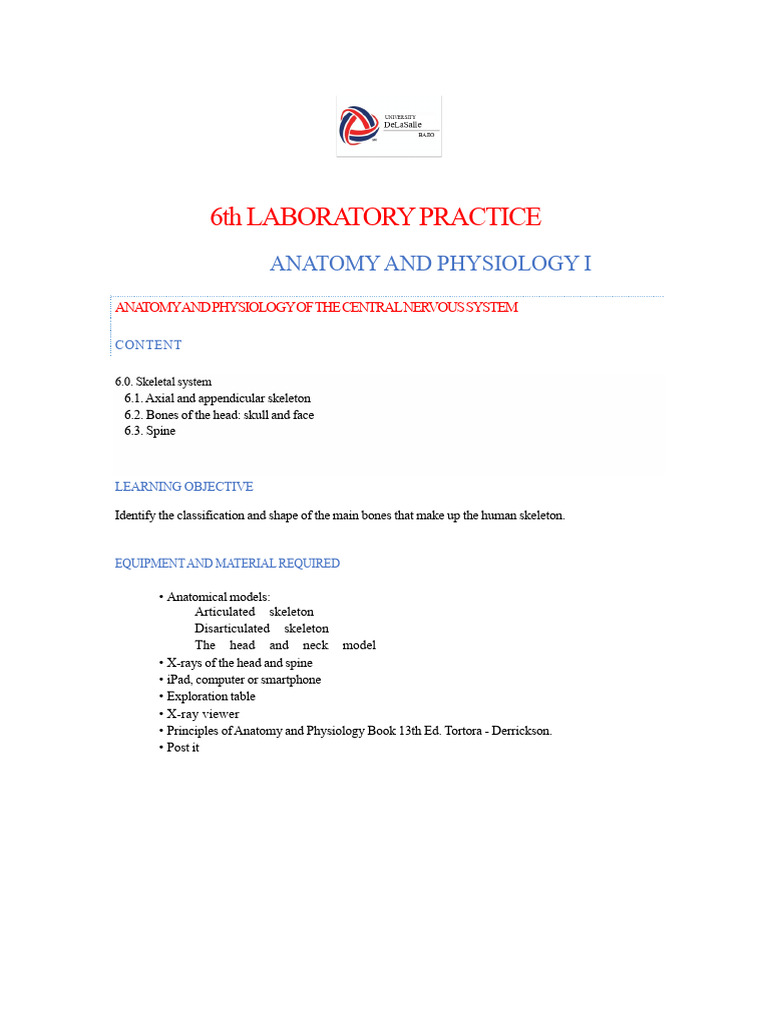 6a Laboratory Practice Axial and Appendicular Skeleton, Bones of The ...
