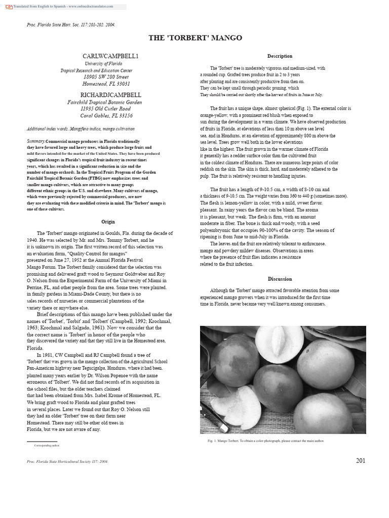 The 'Torbert' Mango Overview | PDF | Mango | Agriculture