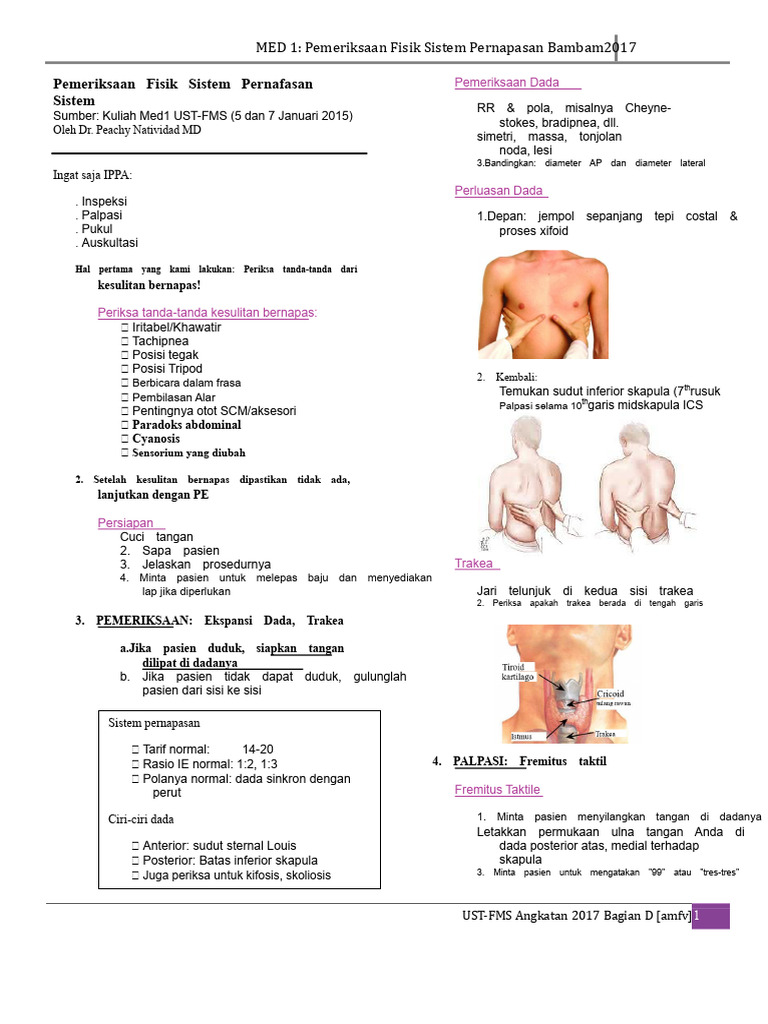 Sistem Pernafasan | PDF