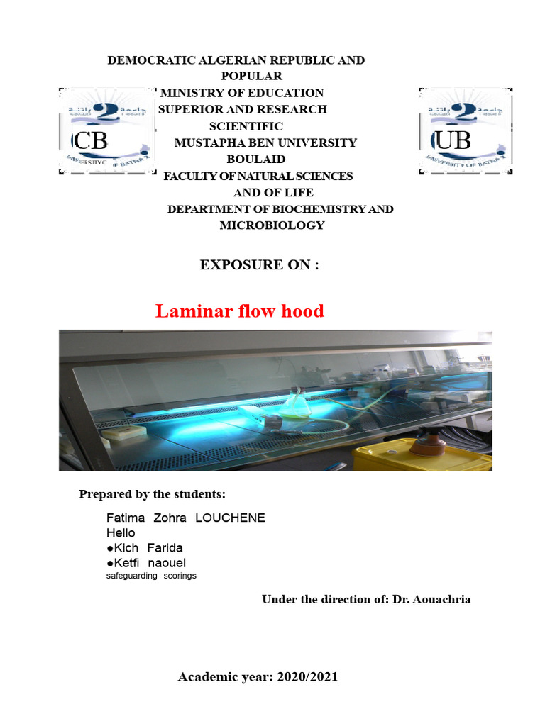 Laminar Flow Hood | PDF