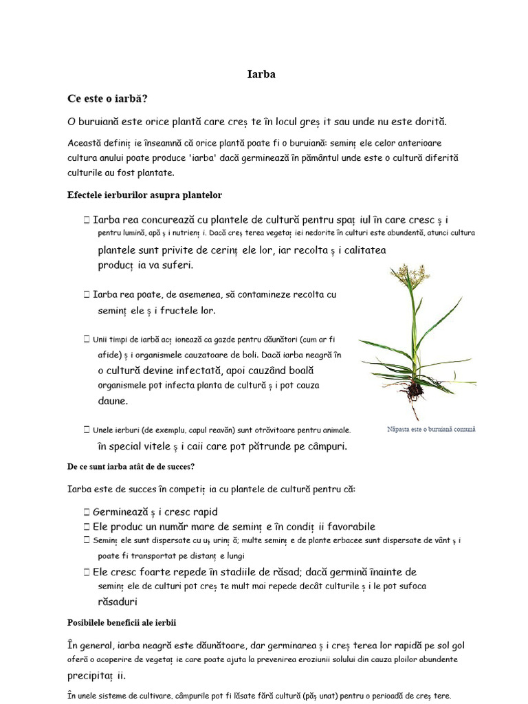 Iarba | PDF
