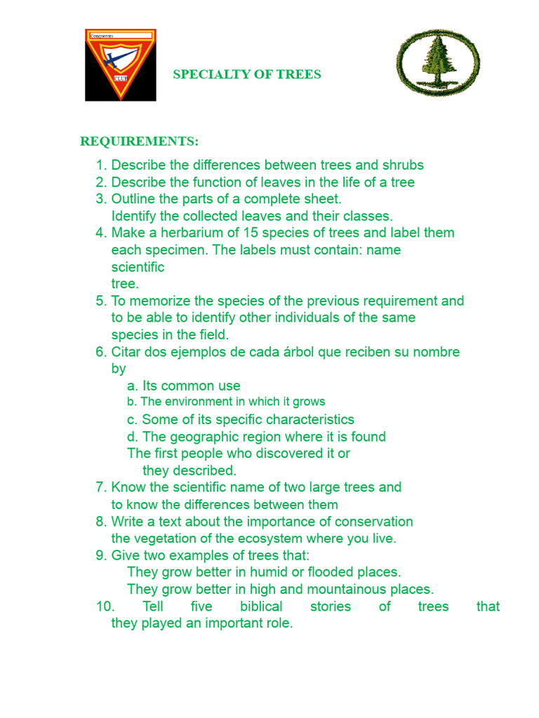 Specialty of Developed Trees | PDF | Leaf | Photosynthesis