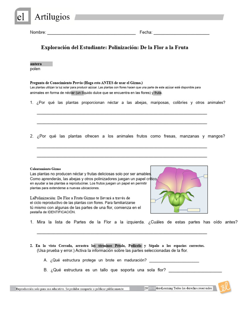 Polinización Flor Fruta SE | PDF | Flores | Polinización