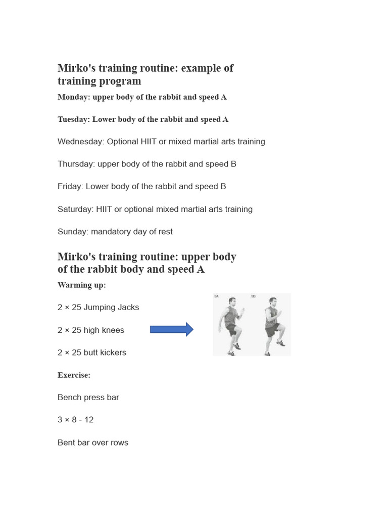 Mirko's Comprehensive Workout Routine | PDF | Physical Fitness ...