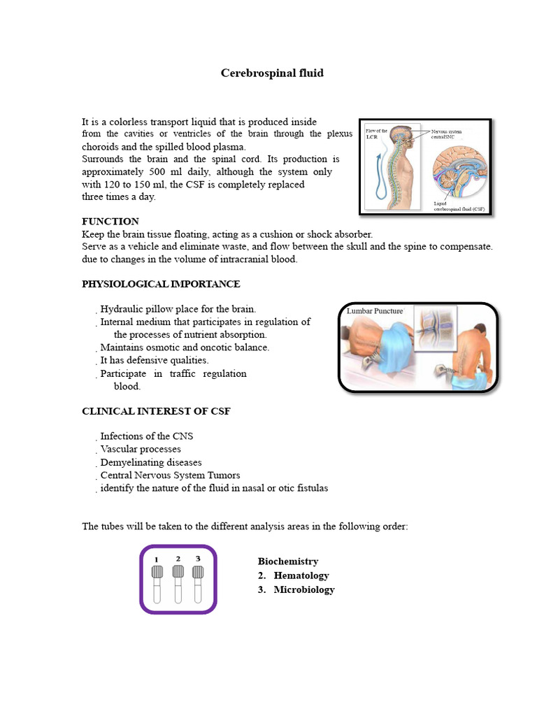 Cerebrospinal Fluid Analysis Guide | PDF | Cerebrospinal Fluid ...
