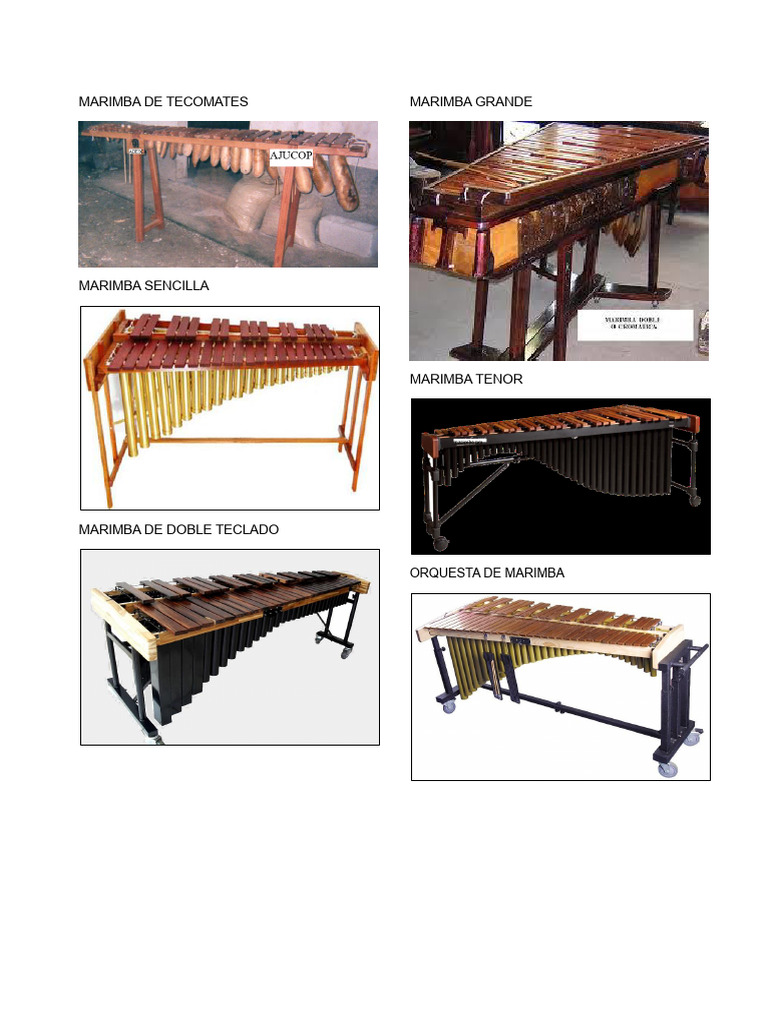 Ritmos Musicais da América Latina | PDF | Brasil | Venezuela