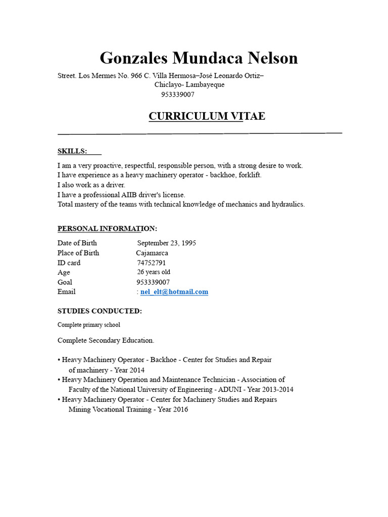 Updated CV | PDF