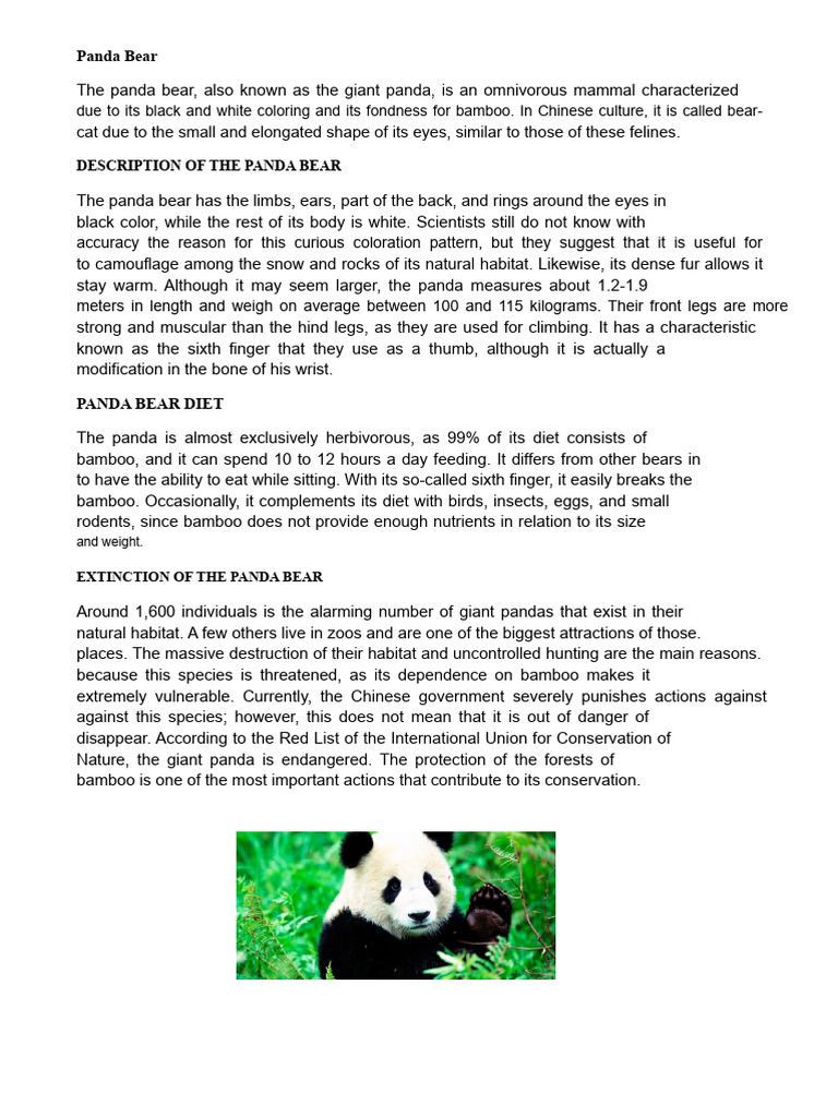 Giant Panda: Habitat, Diet, and Conservation | PDF